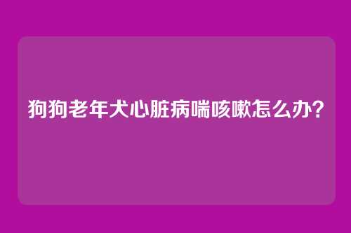 狗狗老年犬心脏病喘咳嗽怎么办？