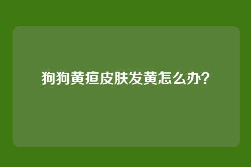 狗狗黄疸皮肤发黄怎么办？