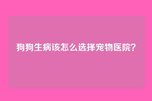 狗狗生病该怎么选择宠物医院？