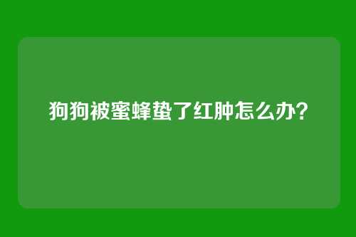 狗狗被蜜蜂蛰了红肿怎么办？