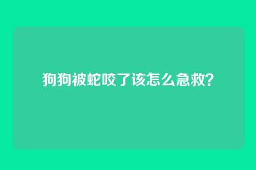 狗狗被蛇咬了该怎么急救？