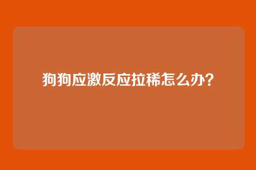 狗狗应激反应拉稀怎么办？