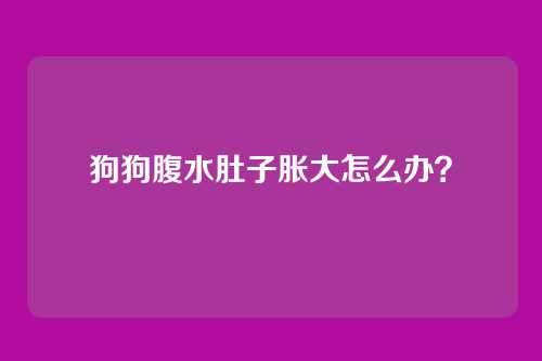 狗狗腹水肚子胀大怎么办？