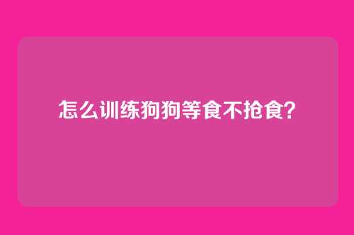 怎么训练狗狗等食不抢食?