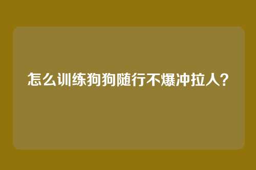 怎么训练狗狗随行不爆冲拉人？