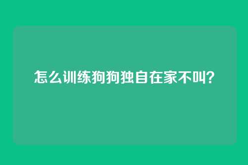 怎么训练狗狗独自在家不叫？