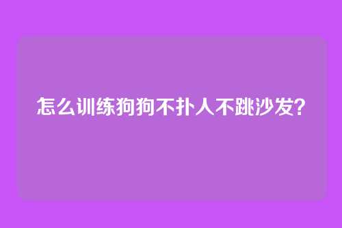 怎么训练狗狗不扑人不跳沙发？