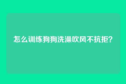 怎么训练狗狗洗澡吹风不抗拒？