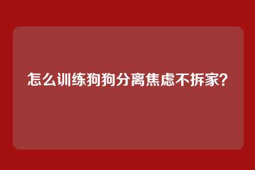 怎么训练狗狗分离焦虑不拆家？