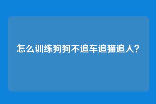 怎么训练狗狗不追车追猫追人？