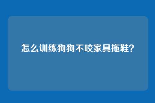 怎么训练狗狗不咬家具拖鞋？