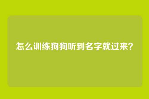 怎么训练狗狗听到名字就过来？