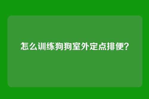 怎么训练狗狗室外定点排便?