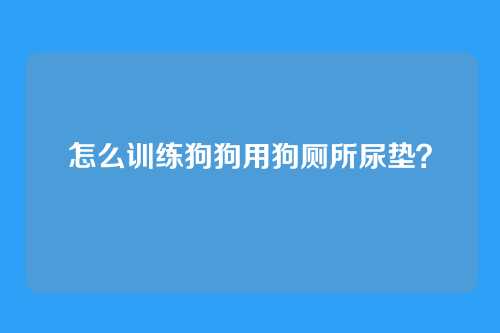 怎么训练狗狗用狗厕所尿垫？