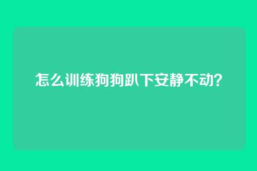 怎么训练狗狗趴下安静不动？