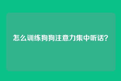 怎么训练狗狗注意力集中听话？