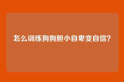 怎么训练狗狗胆小自卑变自信？