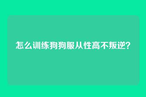 怎么训练狗狗服从性高不叛逆？