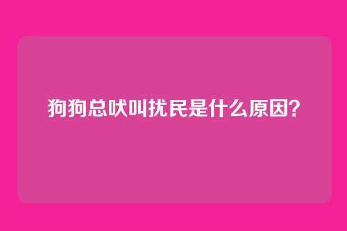 狗狗总吠叫扰民是什么原因?