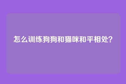 怎么训练狗狗和猫咪和平相处？