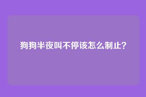 狗狗半夜叫不停该怎么制止？