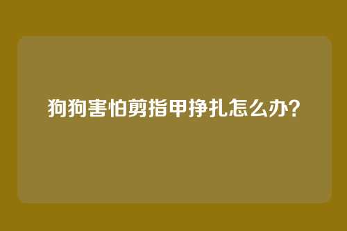 狗狗害怕剪指甲挣扎怎么办？