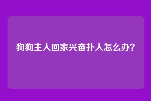 狗狗主人回家兴奋扑人怎么办？