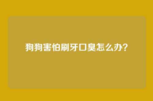 狗狗害怕刷牙口臭怎么办?