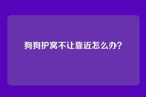 狗狗护窝不让靠近怎么办？