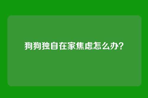 狗狗独自在家焦虑怎么办？