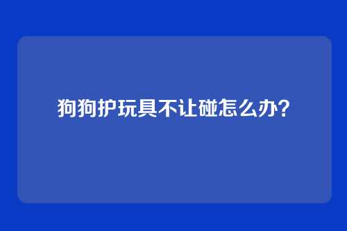 狗狗护玩具不让碰怎么办?