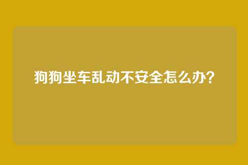 狗狗坐车乱动不安全怎么办？