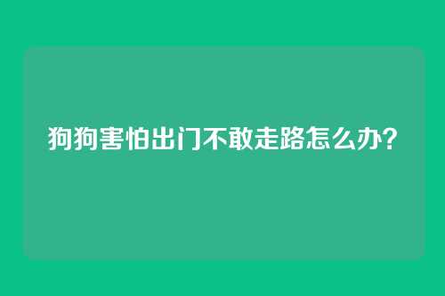 狗狗害怕出门不敢走路怎么办？
