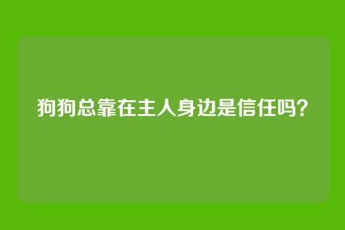 狗狗总靠在主人身边是信任吗？