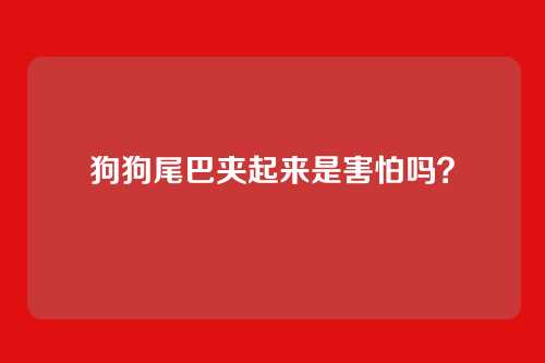 狗狗尾巴夹起来是害怕吗?