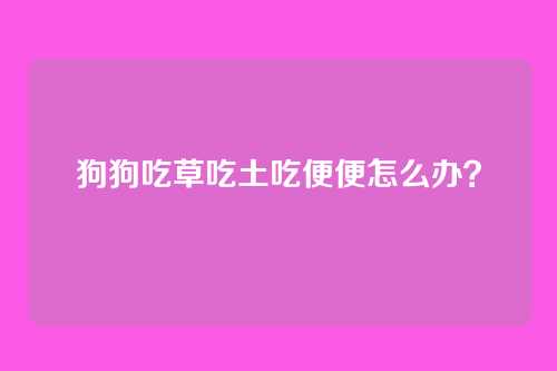 狗狗吃草吃土吃便便怎么办？