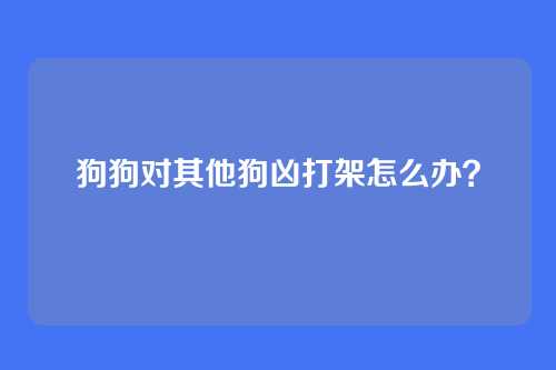 狗狗对其他狗凶打架怎么办?