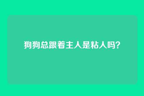 狗狗总跟着主人是粘人吗？