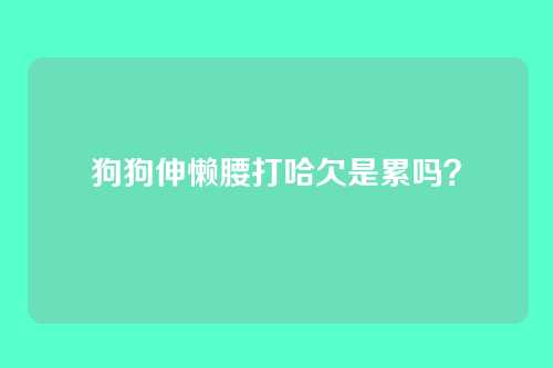 狗狗伸懒腰打哈欠是累吗？