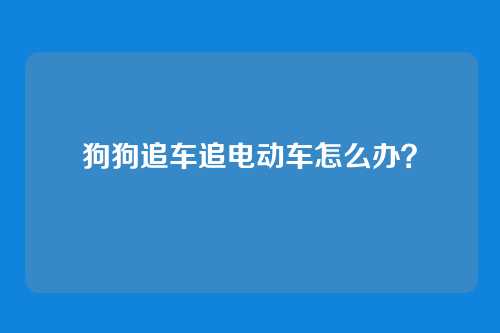 狗狗追车追电动车怎么办？