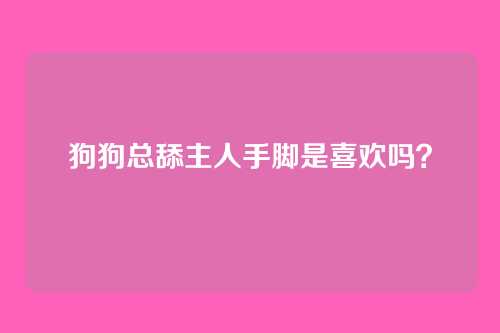 狗狗总舔主人手脚是喜欢吗？