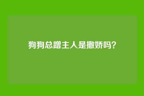 狗狗总蹭主人是撒娇吗？