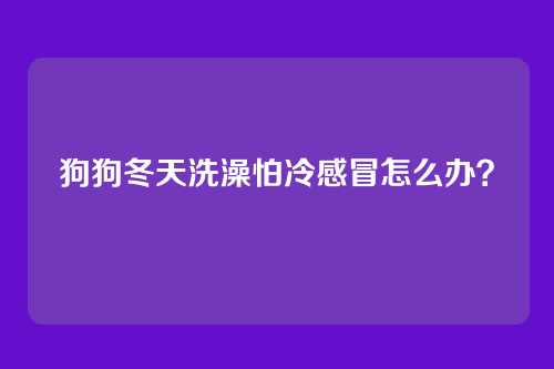 狗狗冬天洗澡怕冷感冒怎么办？