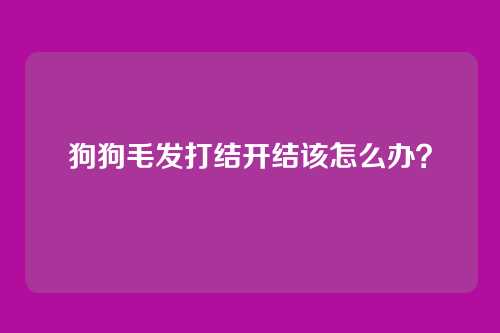 狗狗毛发打结开结该怎么办？