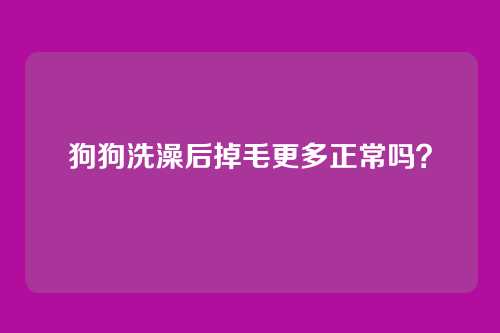 狗狗洗澡后掉毛更多正常吗？