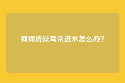 狗狗洗澡耳朵进水怎么办?