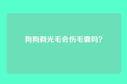 狗狗剃光毛会伤毛囊吗？
