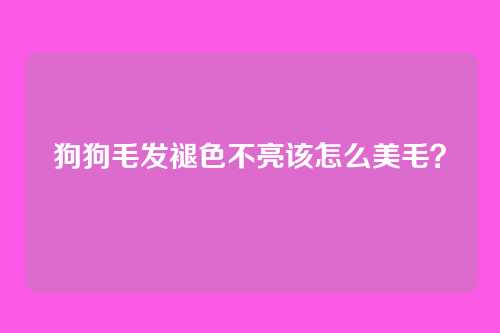 狗狗毛发褪色不亮该怎么美毛？