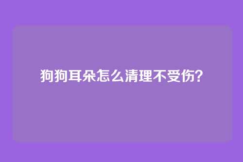 狗狗耳朵怎么清理不受伤？