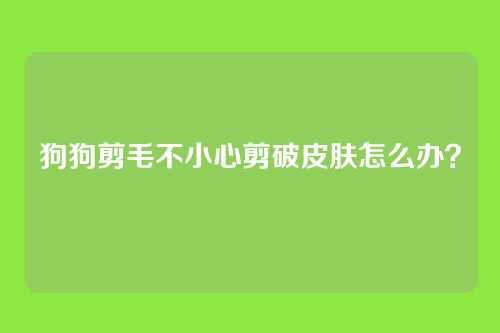 狗狗剪毛不小心剪破皮肤怎么办？